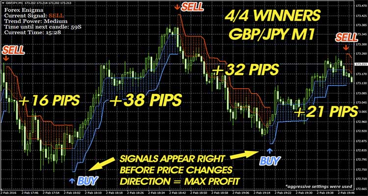 Forex enigma free download